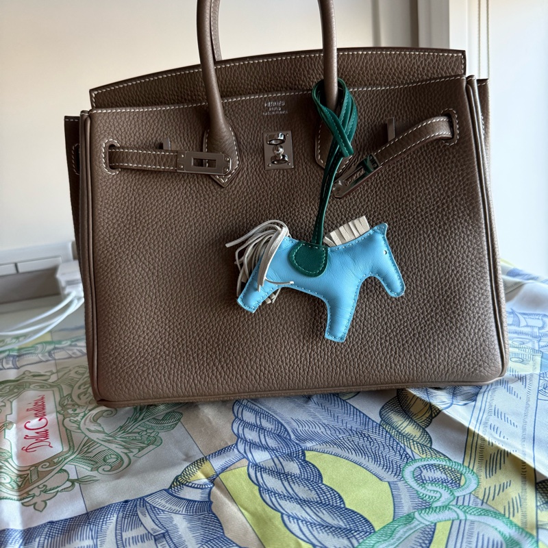 Hermes rodeo PM 小號 小馬掛飾-6