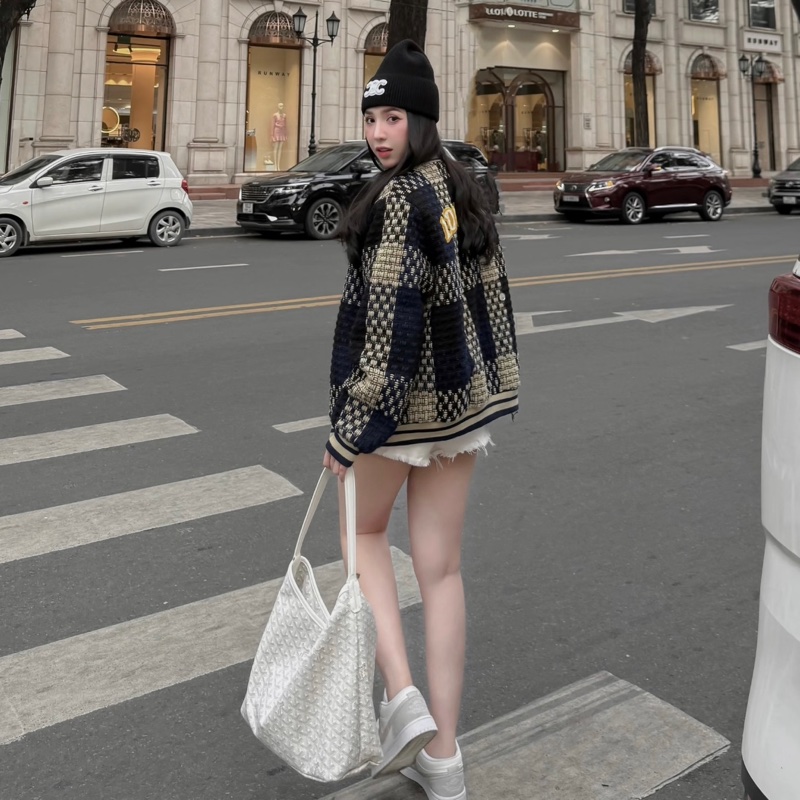 【全球斷貨極限量🔒】 Goyard Hobo 經典白 肩背腋下包 （代購13萬多）-3