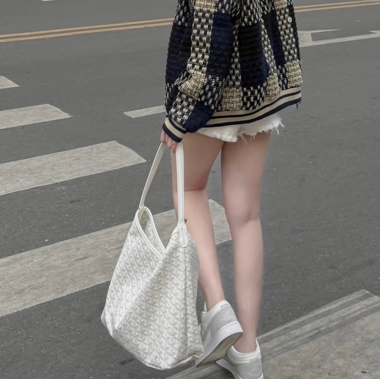 【全球斷貨極限量🔒】 Goyard Hobo 經典白 肩背腋下包 (代購13萬多)-16