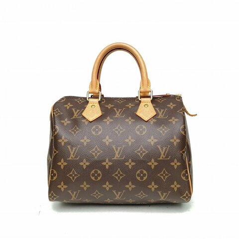 LOUIS VUITTON Sp25無肩帶老花PVC晶片肩背包