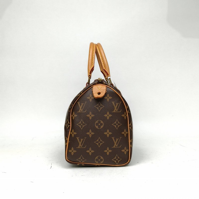 LOUIS VUITTON Sp25無肩帶老花PVC晶片肩背包-1