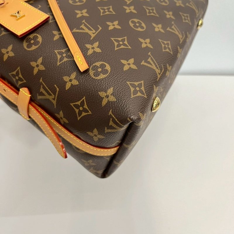 LV Carryall Pm晶片M46203-6