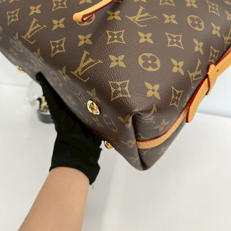 LV Carryall Pm晶片M46203-7