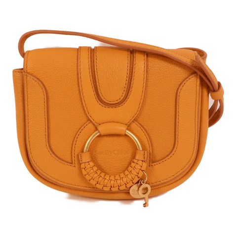 Chloe 牛皮皮革Hana Mini Bag肩背袋