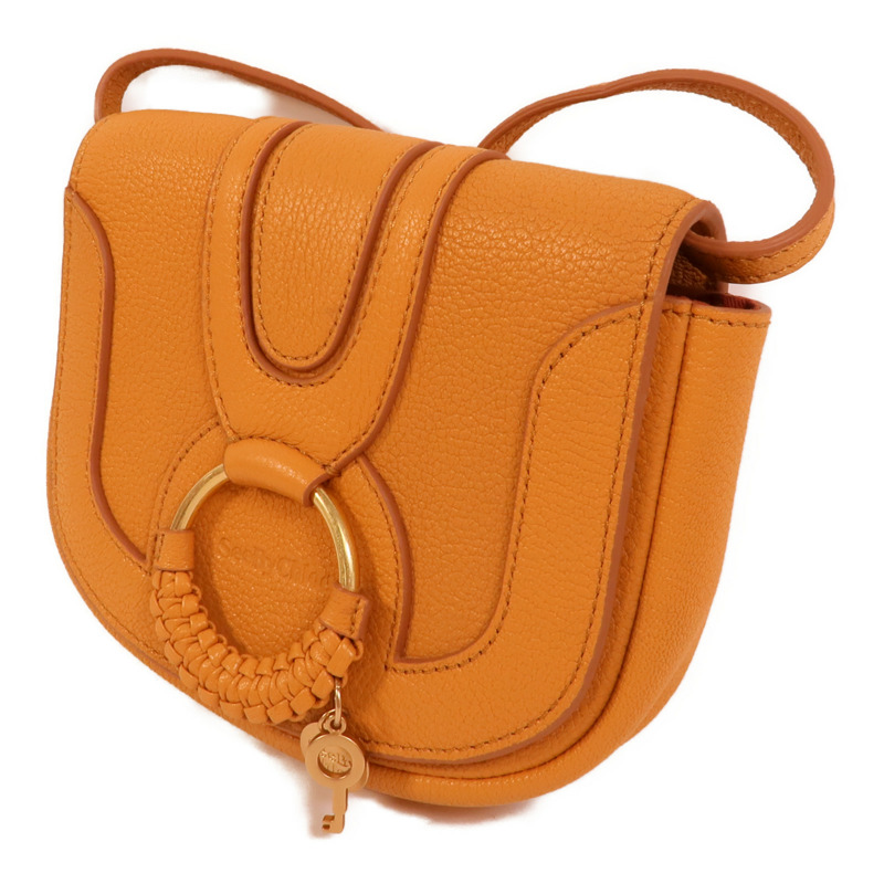 Chloe 牛皮皮革Hana Mini Bag肩背袋-2