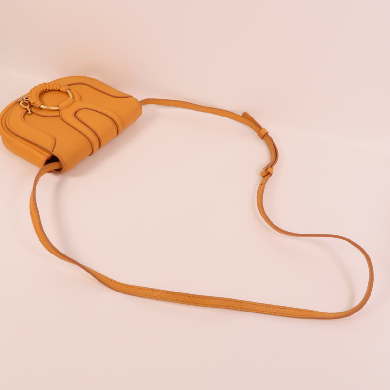 Chloe 牛皮皮革Hana Mini Bag肩背袋-4