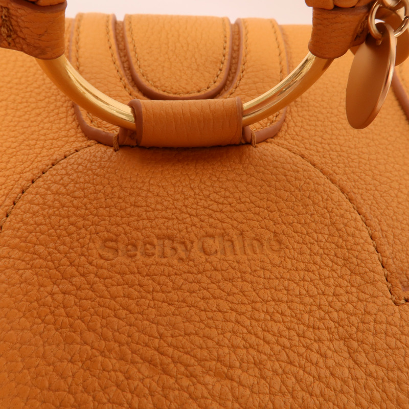 Chloe 牛皮皮革Hana Mini Bag肩背袋-6