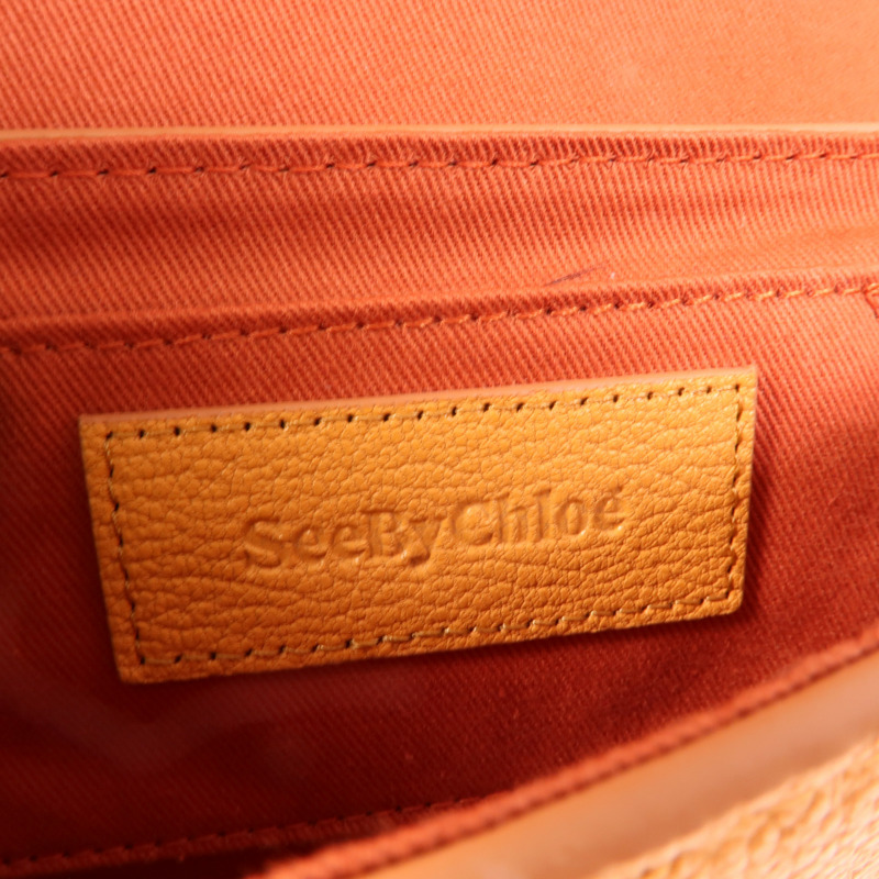 Chloe 牛皮皮革Hana Mini Bag肩背袋-8