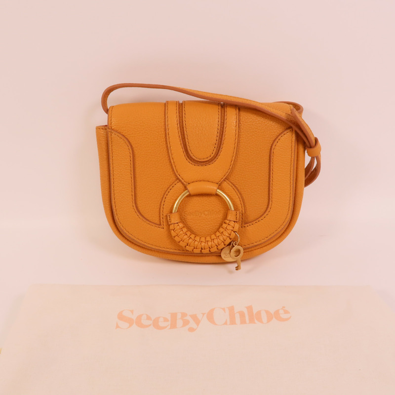 Chloe 牛皮皮革Hana Mini Bag肩背袋-10