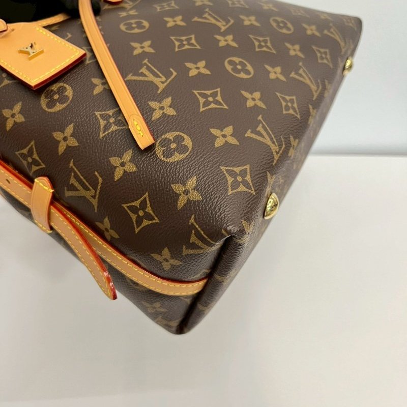 LV Carryall Pm晶片M46203-5