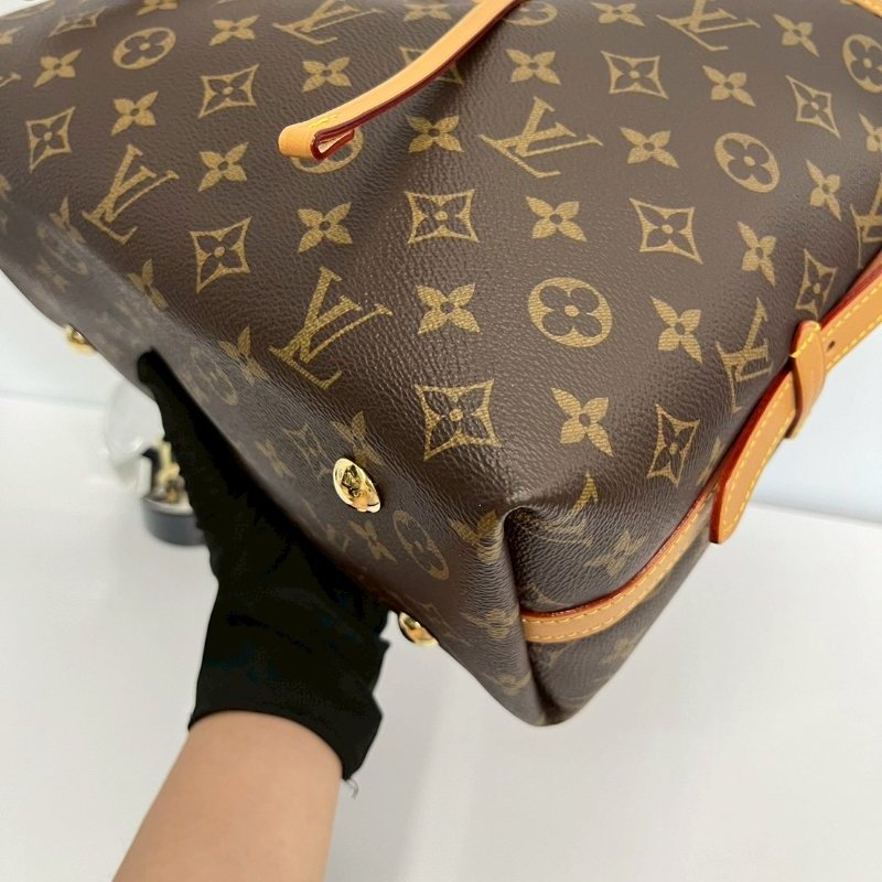 LV Carryall Pm晶片M46203-6