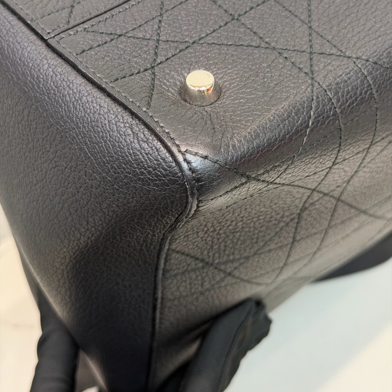 Dior Ultra Dior Tote Bag XC459-12