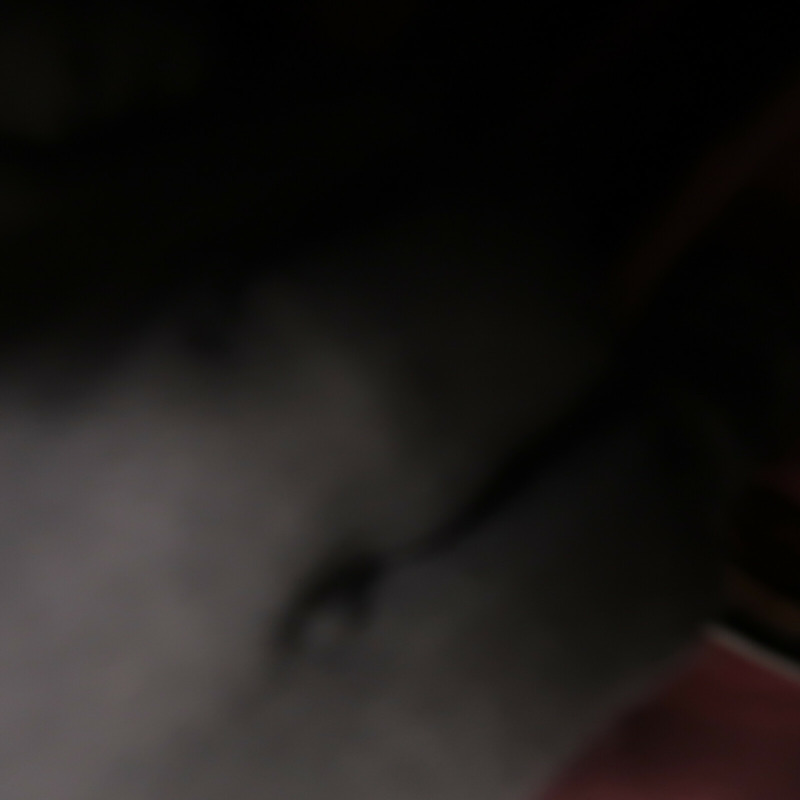 CHANEL 羊皮皮革Clutch手拿包-14