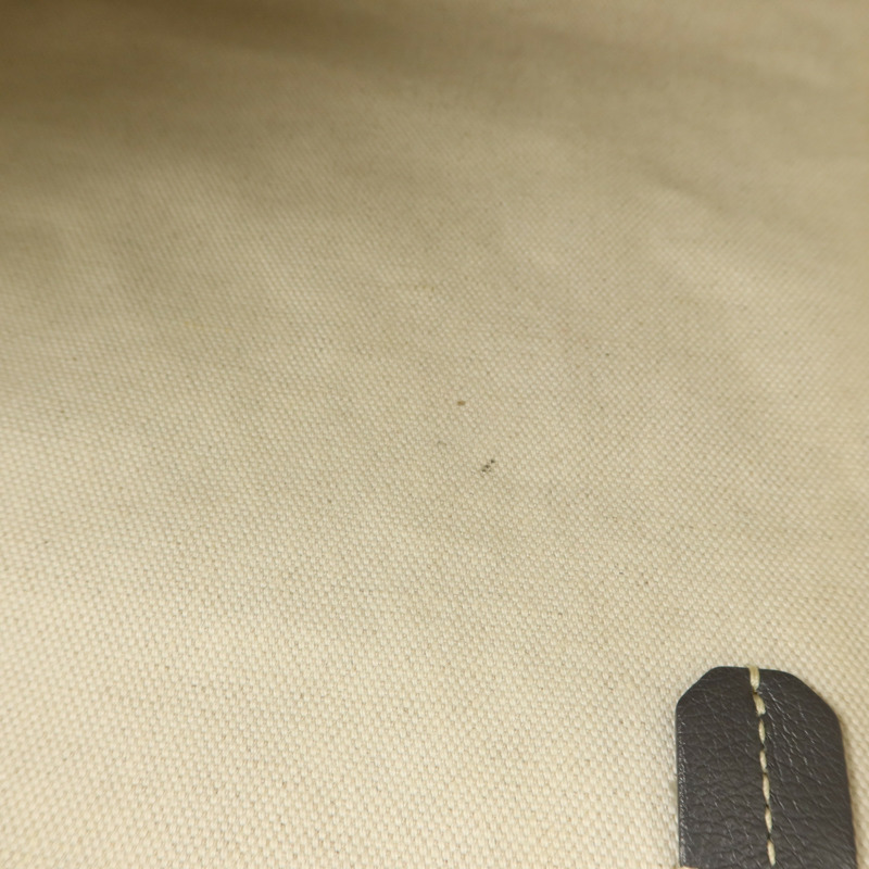 GOYARD 塗層帆布Saint Louis PM肩背袋-20