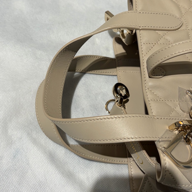 Dior沙丘褐小牛皮Toujours水桶側背包-11