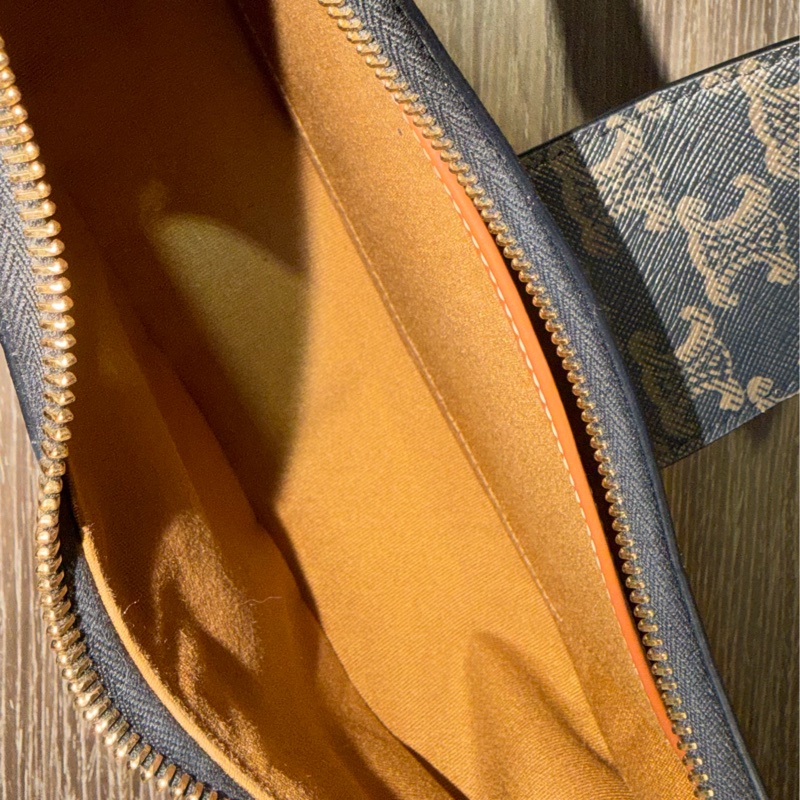 Celine AVA TRIOMPHE老花腋下包-7