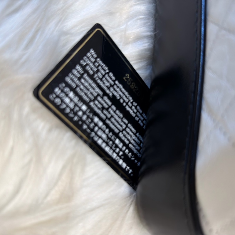 Chanel 流浪包小號-20