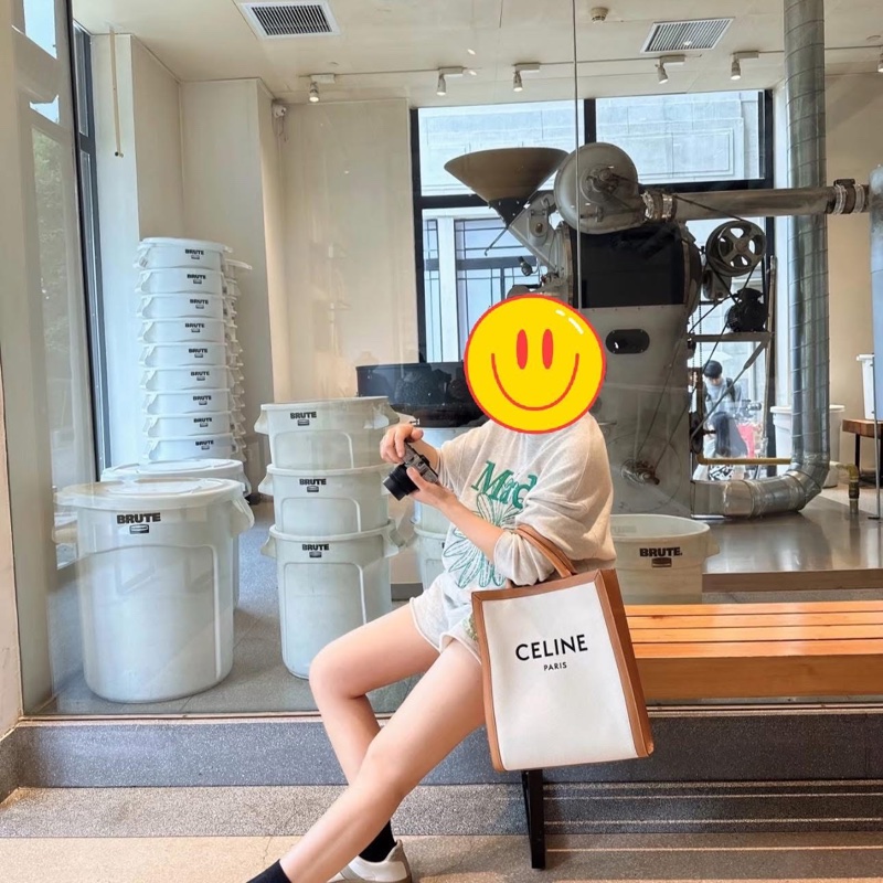 Celine字母大號-印花帆布牛皮手提/斜背托特包-1