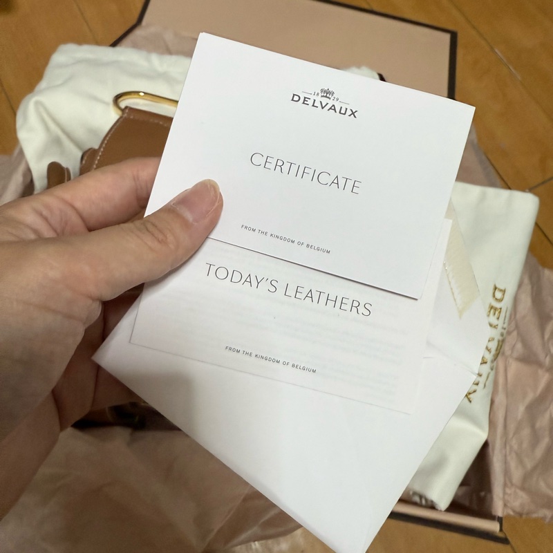 Delvaux Cool box nano-12