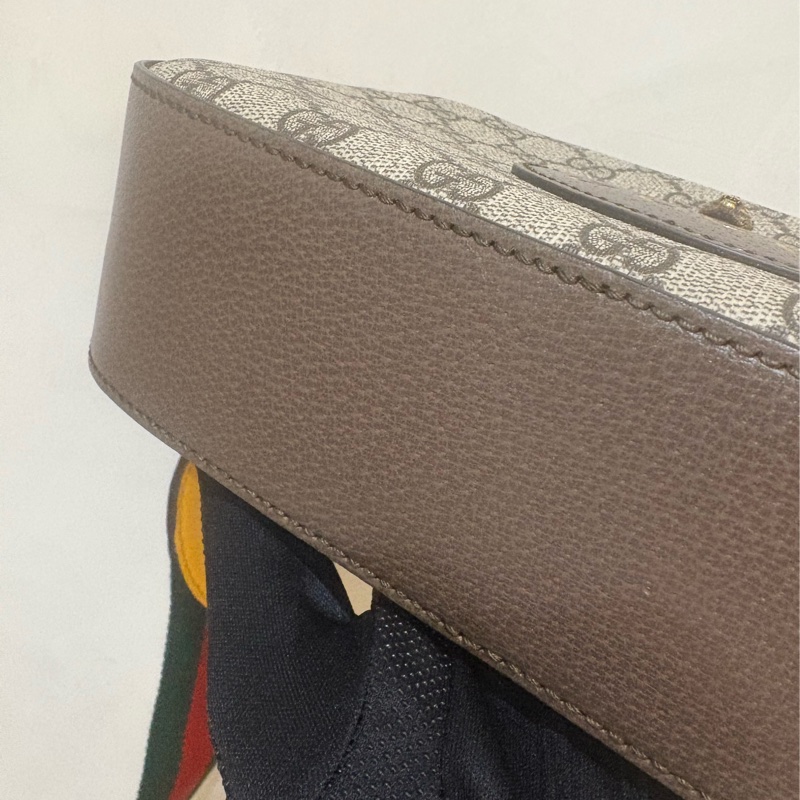 Gucci 虎頭🐯相機包 綠紅綠背帶-5