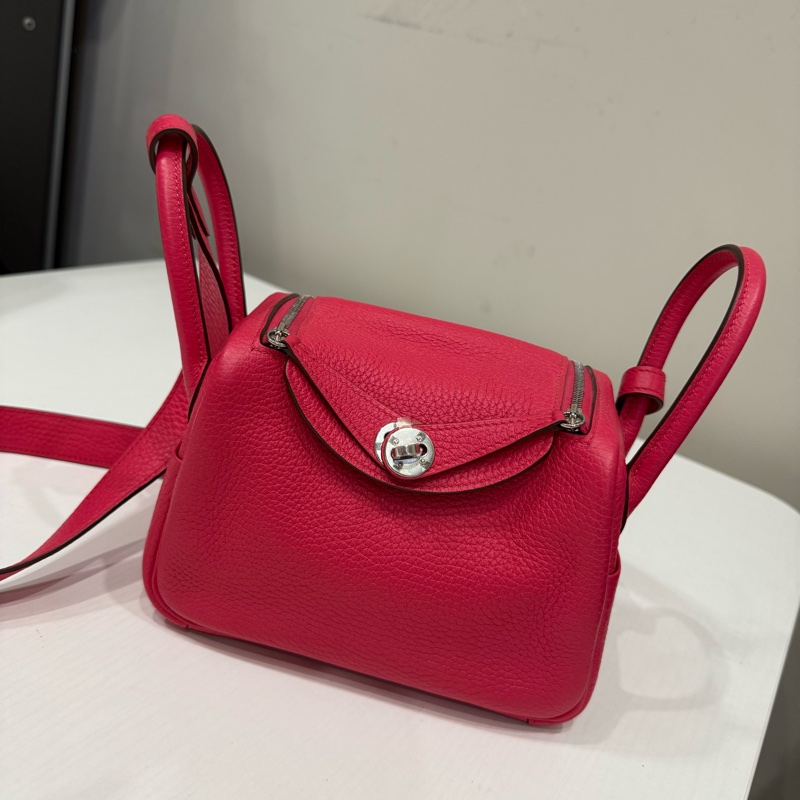 Hermes mini lindy-1