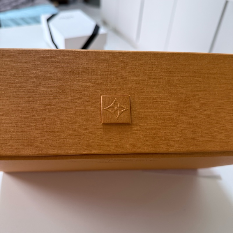 LV Nano Speedy新款老花-20