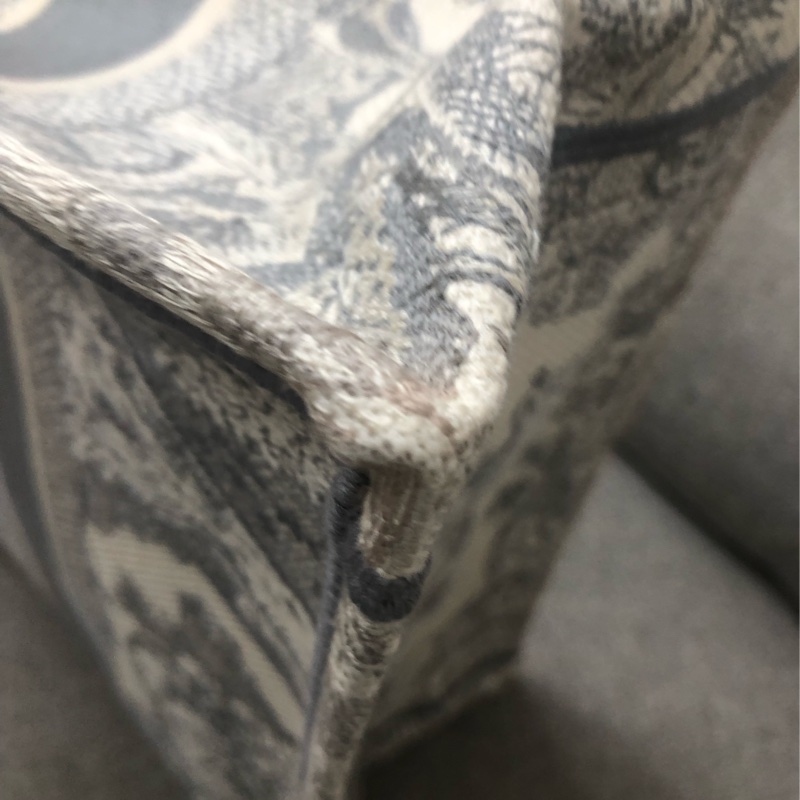 Dior tote中號岩石灰動物園購物袋，配件塵袋身份卡-15