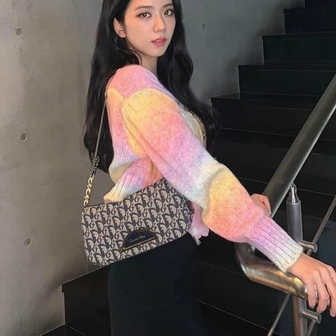 🏷Dior老花月牙包(Jisoo同款)