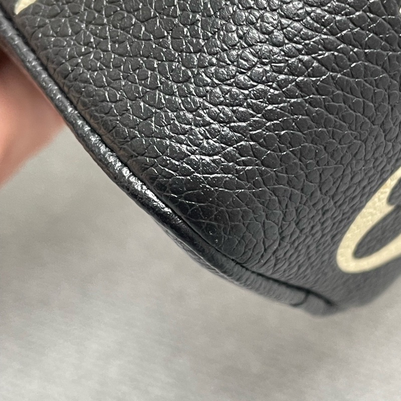 Louis Vuitton 路易威登 sp nano黑白花 芯片 附件：肩頸-9