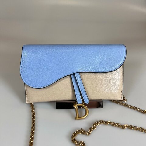 DIOR  拚色馬鞍兩用包