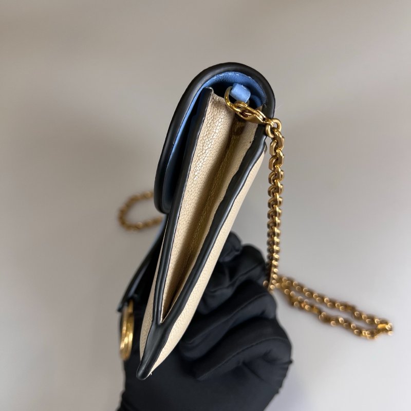 DIOR  拚色馬鞍兩用包-2