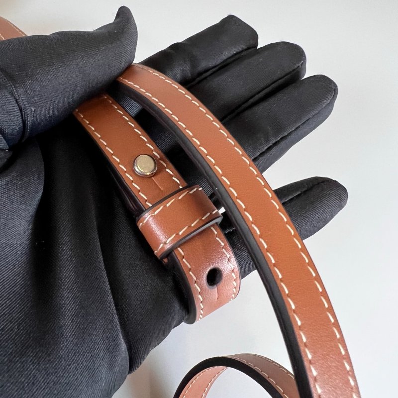 CELINE  白滿版凱旋門斜背包-6