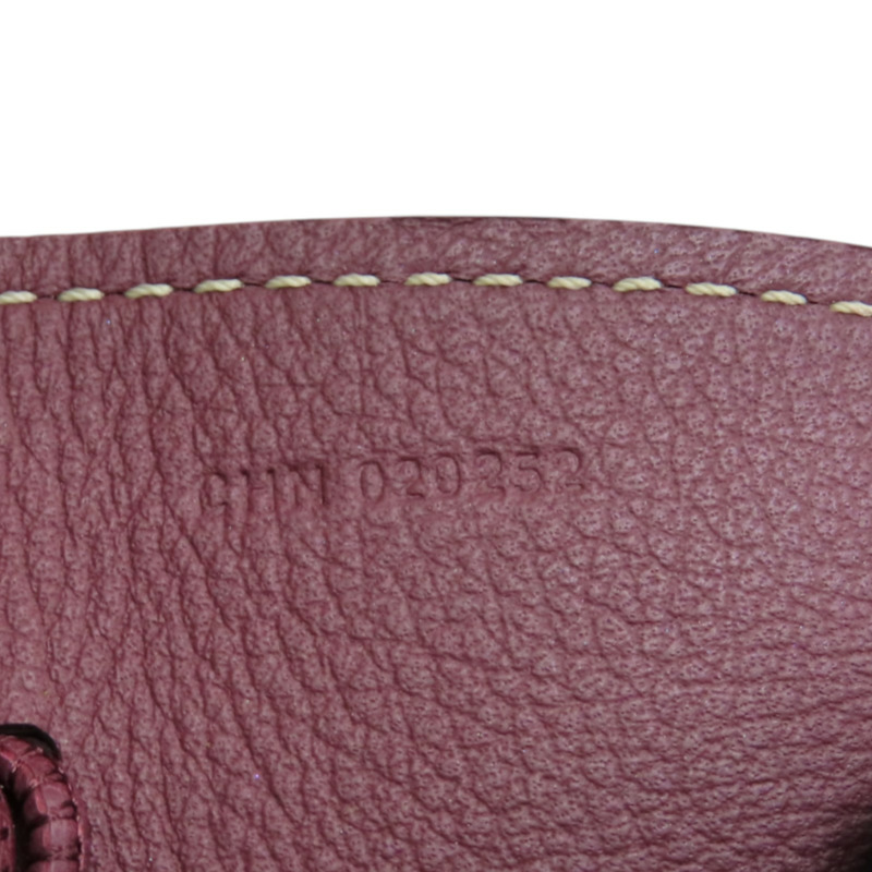 酒紅色 Goyardine塗層帆布 Anjou Mini 肩背包【GOYARD 高雅德】-11