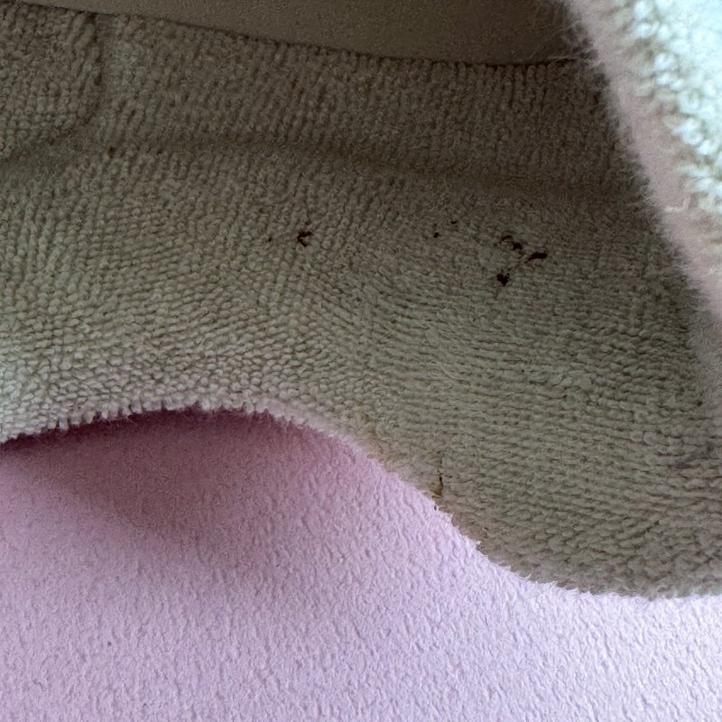 🎊重點有盒子🎊Gucci 米白雙G紅綠織帶休閒布鞋 38-18