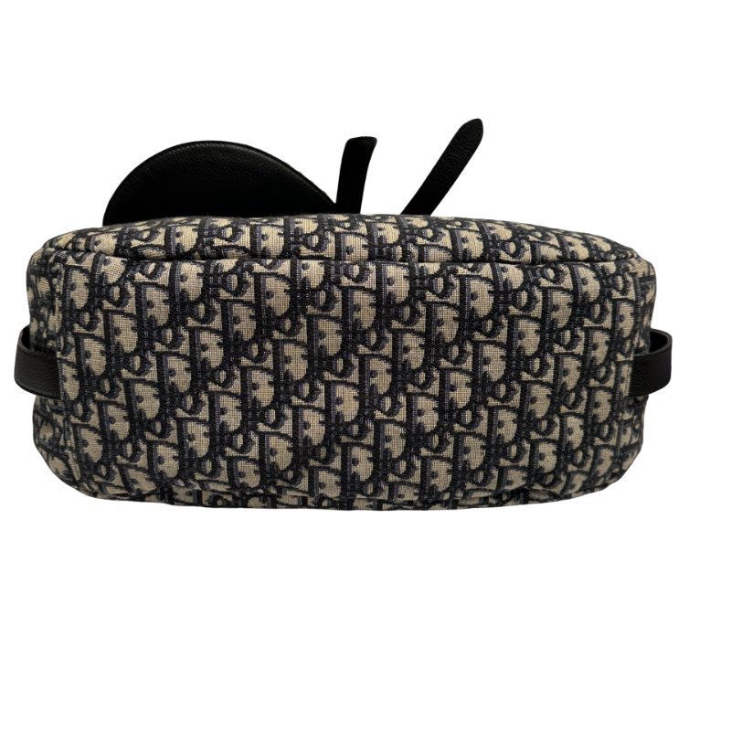 DIOR Canvas Oblique Saddle Messenger Bag GHW-4