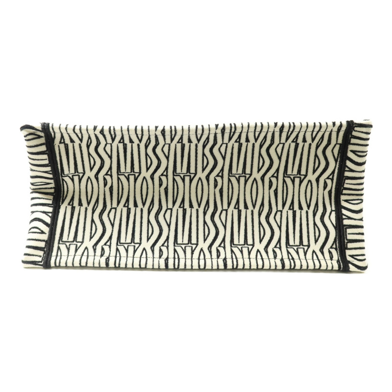 Dior 帆布Book Tote Medium手挽袋-3