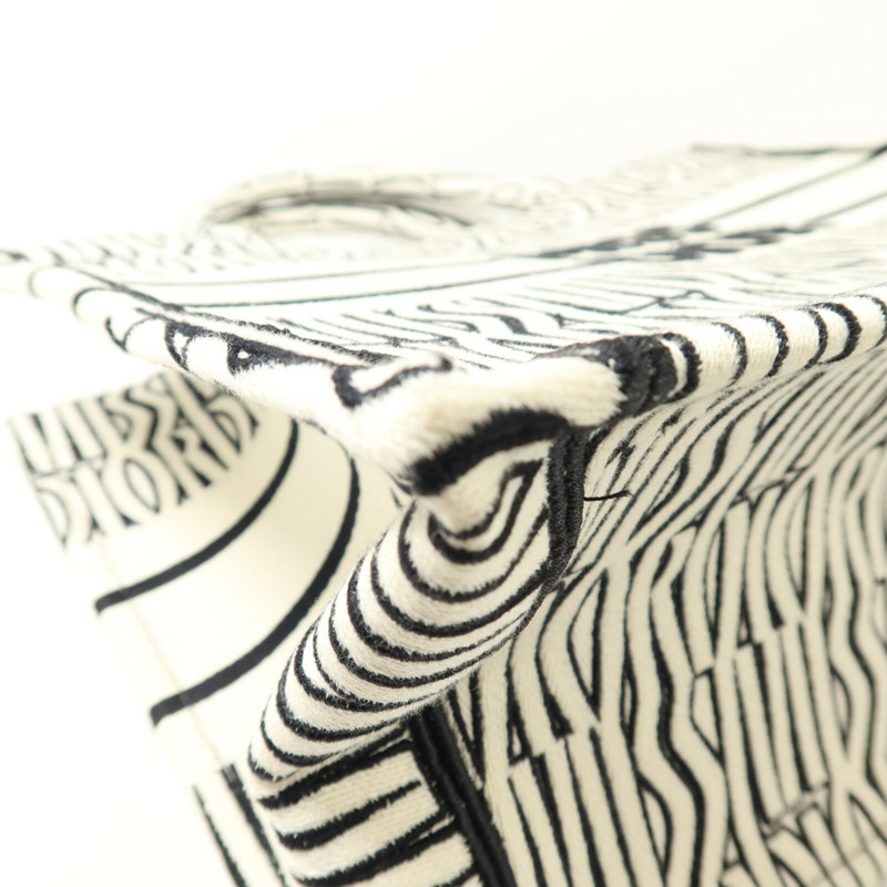 Dior 帆布Book Tote Medium手挽袋-9