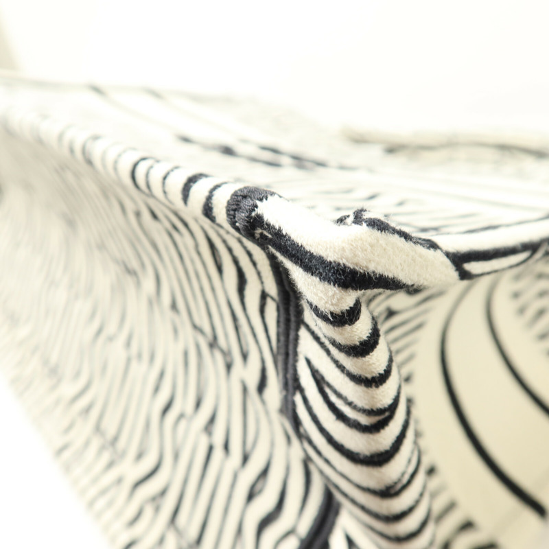 Dior 帆布Book Tote Medium手挽袋-10