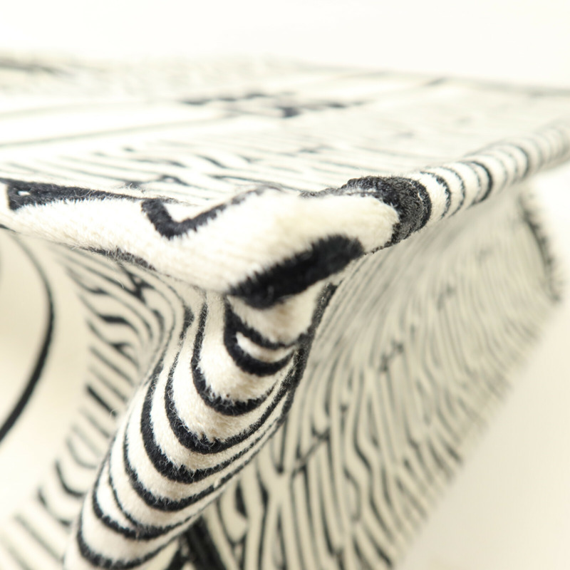 Dior 帆布Book Tote Medium手挽袋-11