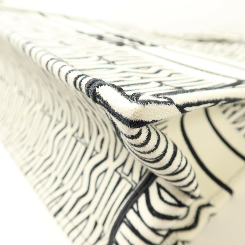 Dior 帆布Book Tote Medium手挽袋-12