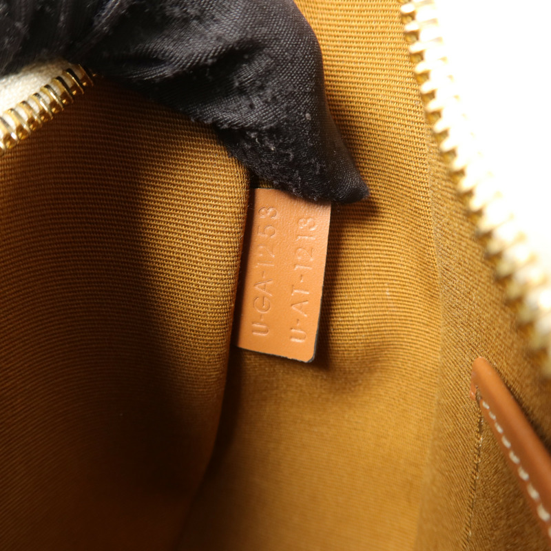 CELINE 塗層帆布Triomphe Ava Medium肩背袋-6