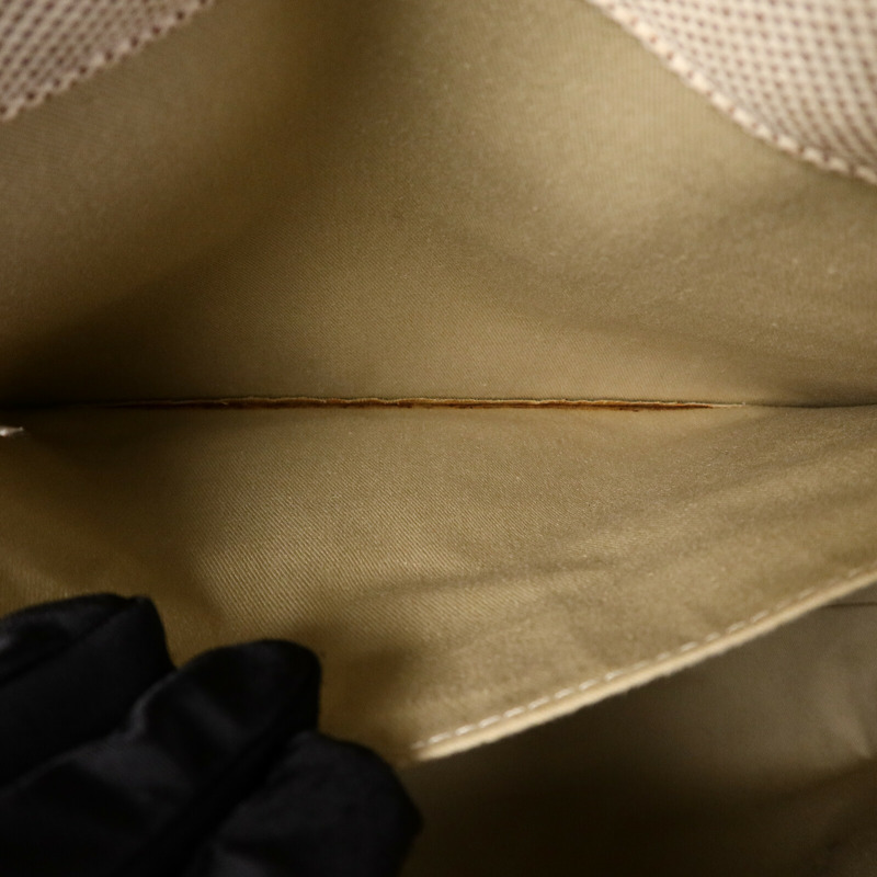 Chloe 帆布Woody Medium手挽袋-12