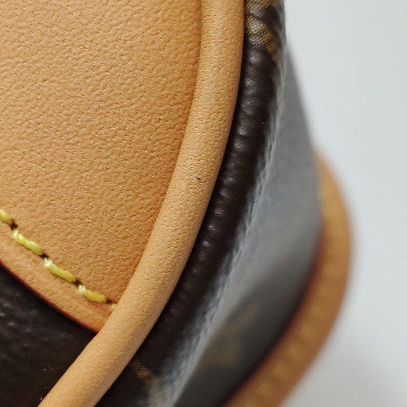 Louis Vuitton (LV) Diane植鞣革Monogram印花斜背包單肩包晶片款-12