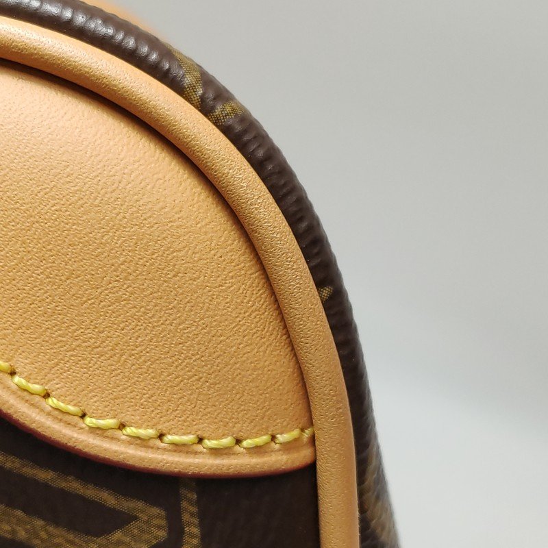 Louis Vuitton (LV) Diane植鞣革Monogram印花斜背包單肩包晶片款-13