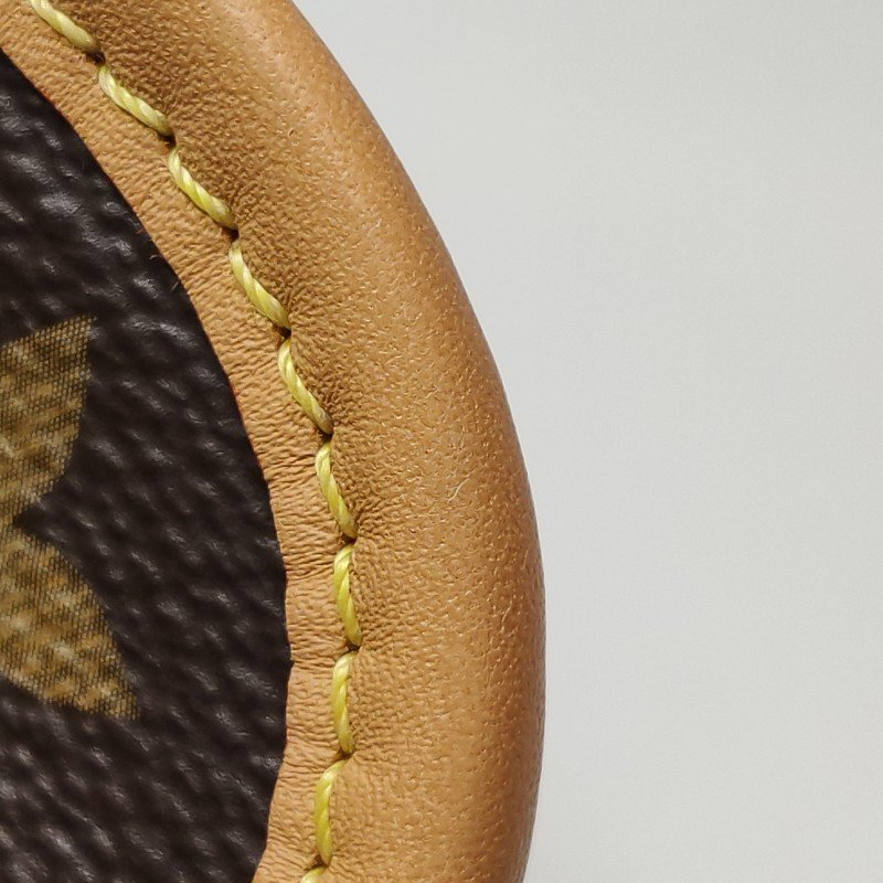 Louis Vuitton (LV) Diane植鞣革Monogram印花斜背包單肩包晶片款-14