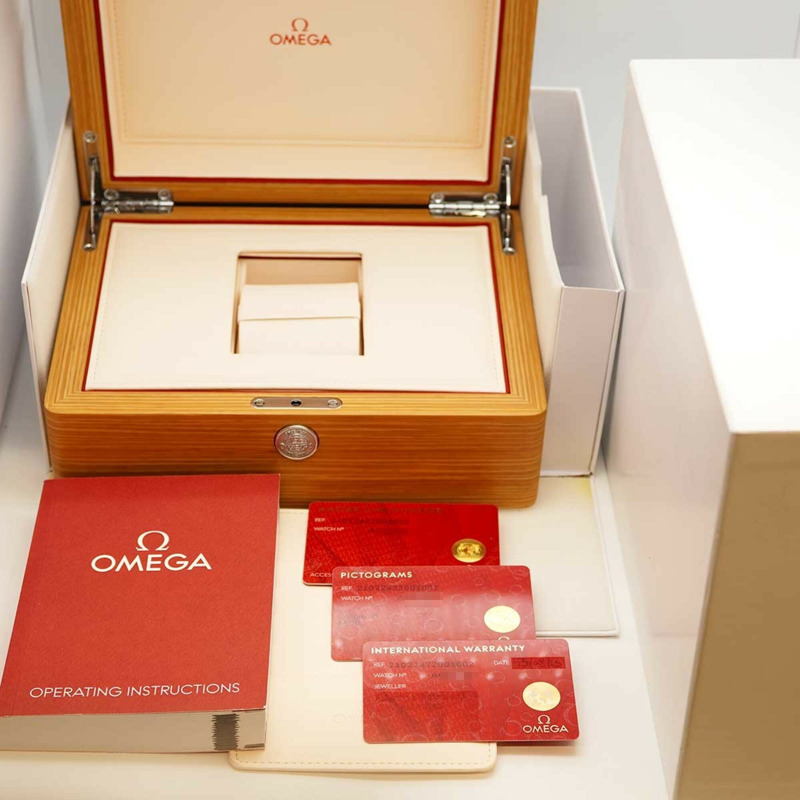 歐米茄海馬系列 210.22.42.20.01.002 黑色錶盤男士腕錶-8