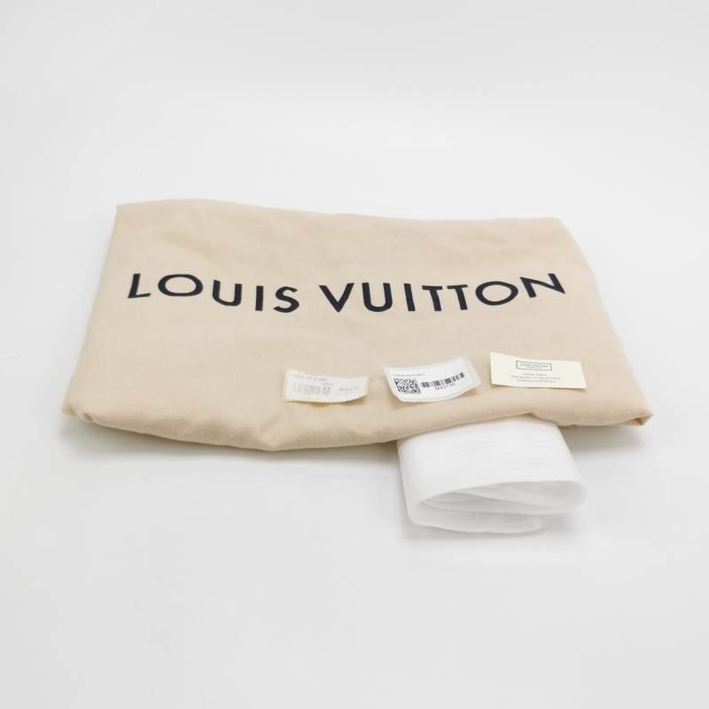 Louis Vuitton (LV) Christopher中型牛皮Monogram印花垂蓋雙肩包晶片款-8