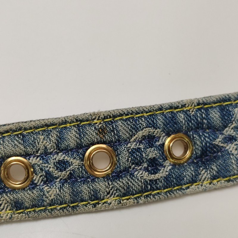 Louis Vuitton (LV) 帆布植鞣革老花腰包胸包-12