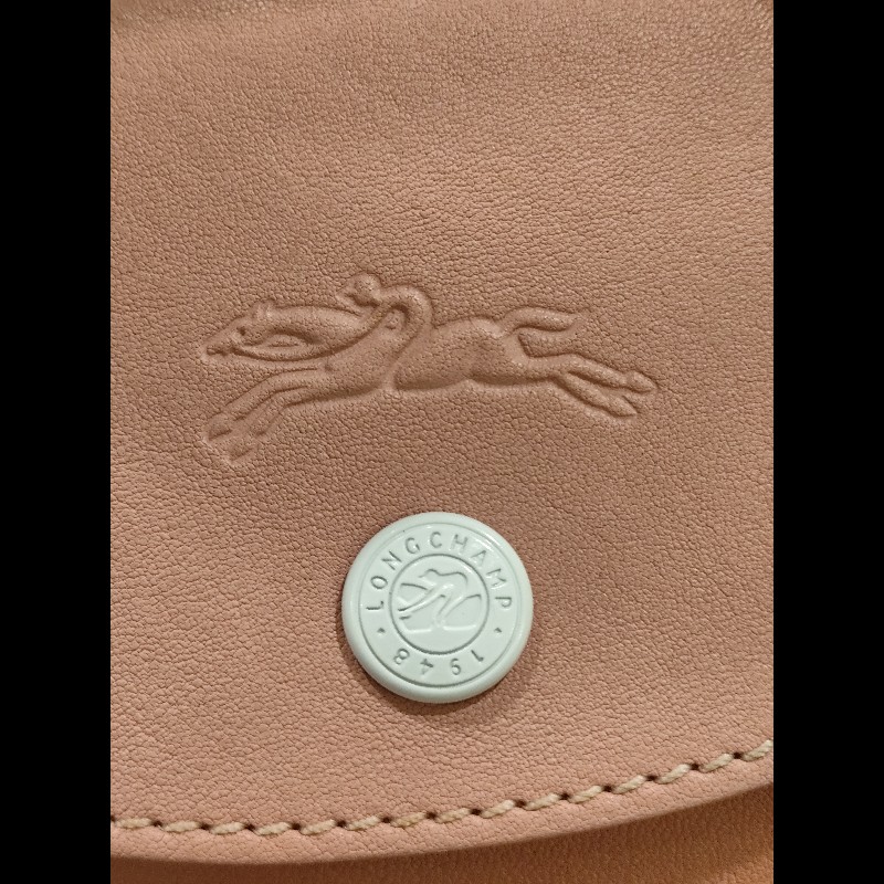 Longchamp x Mr. Bags 聯名粉色皮革手提斜背包 法國製-4