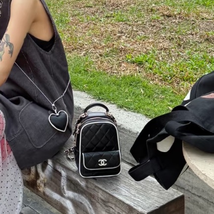 CHANEL香奈兒25P新款熊貓包/黑白漫畫小書包-40